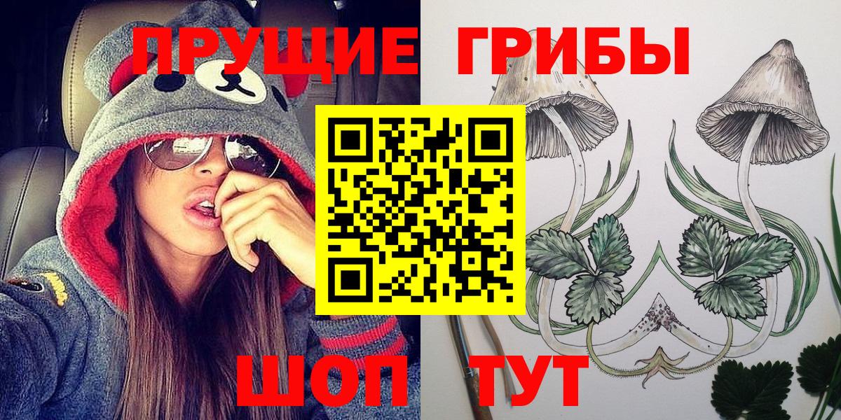 Галлюциногенные грибы Cubensis  Псилоцибиновые грибы Magic Shrooms  Вход с VPN  Ковров 